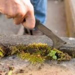 Cleaning- Scraping moss off marker