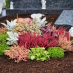 Mixed planing arrangement