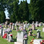 Multiple flowers at many headstones