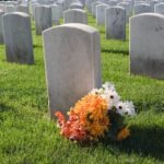 Orance Mums and daisies at military marker