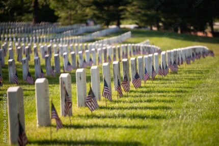 Row of flags at military markers 2