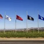 Row of flags at military markers 2